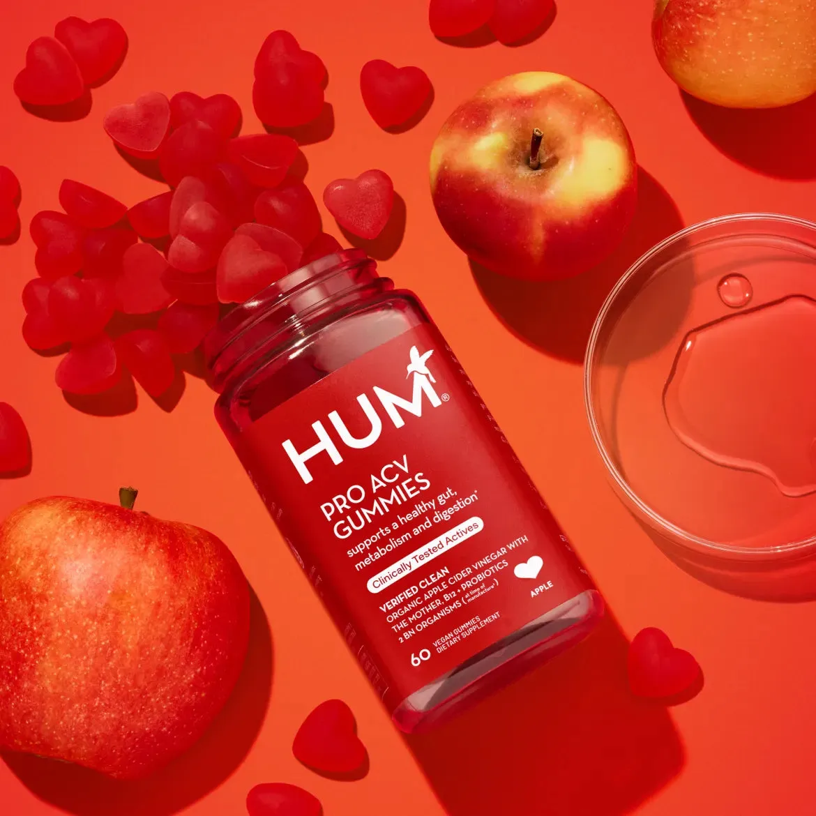 Pro ACV Gummies.